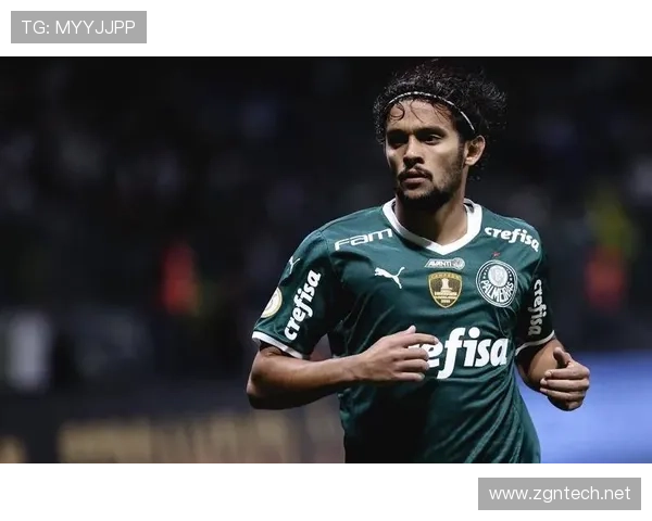 帕尔梅拉斯爆发赛季：恩德里克如何打出惊艳表现