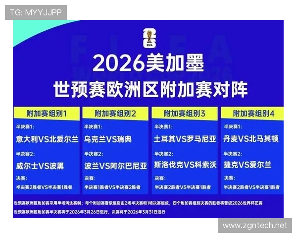 波黑2026世界杯预选赛赛程解析及晋级前景预测